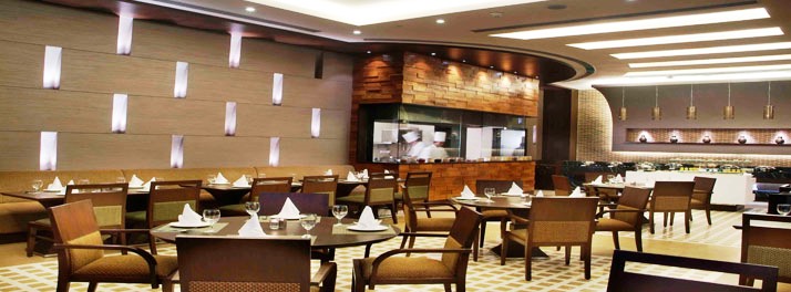 300/Goldfinch Hotel - Faridabad 11.jpg